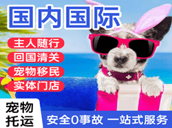 昌都邦达航空快递国际宠物托运 【国
